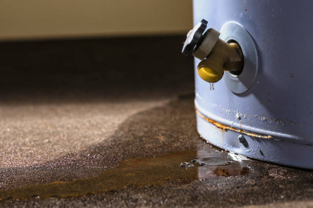Best Flood damage cleanup  in Clinton, IL
