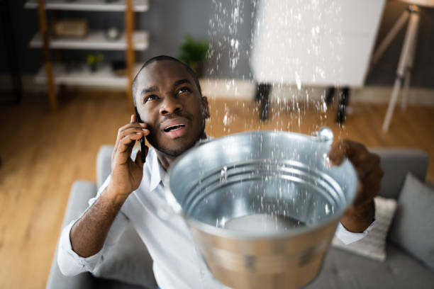 Best Water damage contractors near me  in Clinton, IL