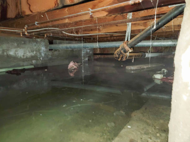 Best Emergency water damage restoration  in Clinton, IL