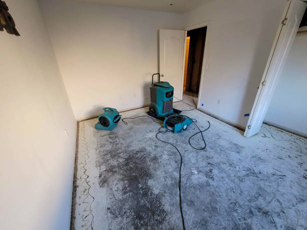 Best Local water damage restoration  in Clinton, IL