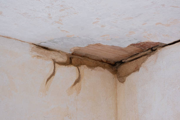 Best Carpet water damage restoration  in Clinton, IL