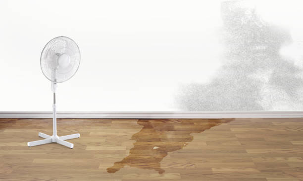 Best Emergency water damage restoration  in Clinton, IL