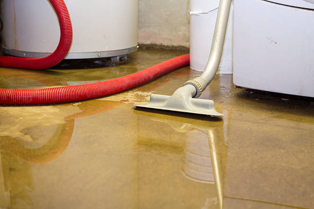 Best Commercial water damage restoration  in Clinton, IL