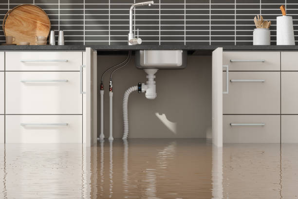 Best Flood damage cleanup  in Clinton, IL