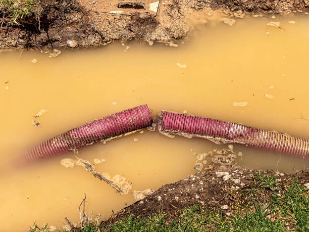 Best Water damage restoration cost  in Clinton, IL