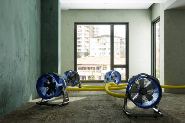Best Residential water damage restoration  in Clinton, IL